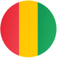 guinea flag